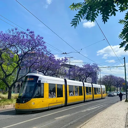 Portuguese Classic Flat At Historic Center Lisboa